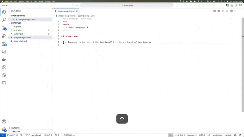 - F1 workflow Animated VSCode workflow showing the process of converting PDFs to images.