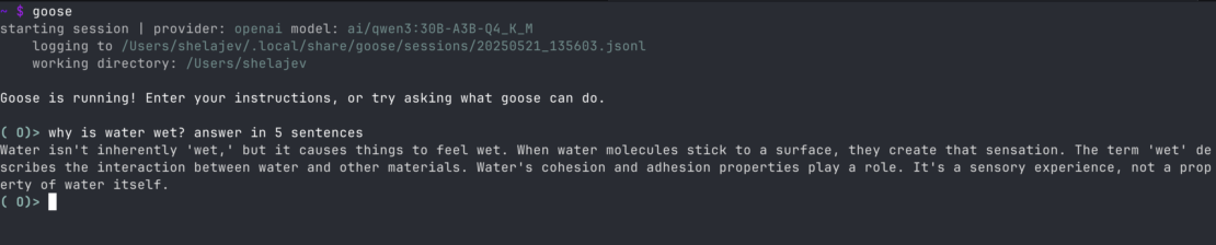 Goose CLI running in terminal, showing example of response to local prompts
