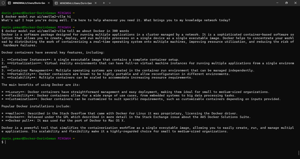 vLLM Windows image 2