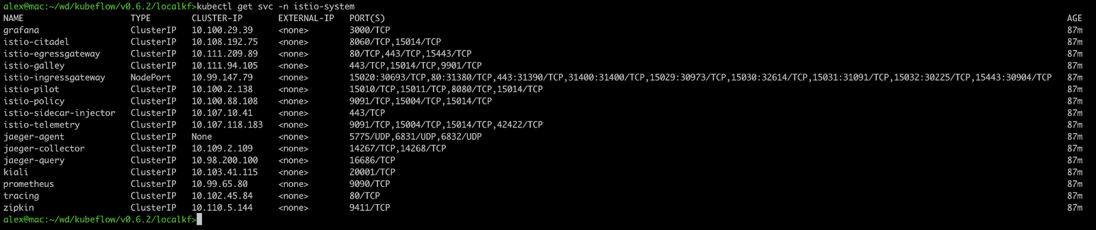 - Docker Kubeflowの図6 Istio Ingress Gateway サービスの CLI 出力。