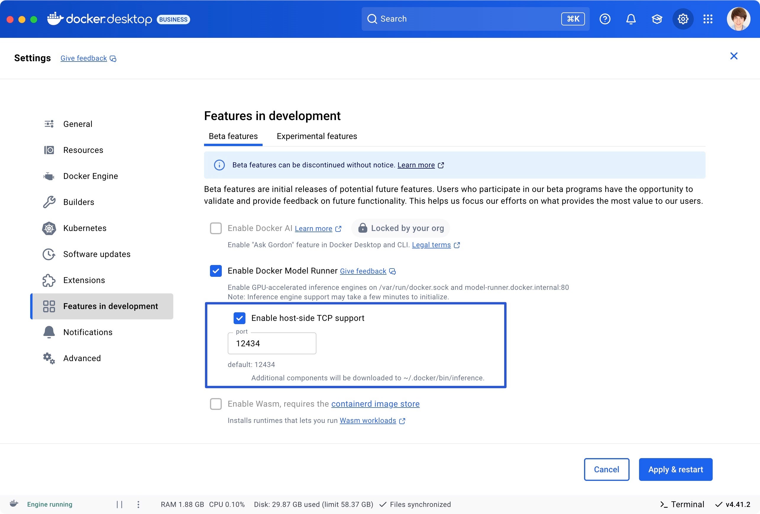 Docker Model Runner でホスト側の TCP サポートが有効になっていることを示す、開発タブの Docker Desktop の [機能] のスクリーンショット。