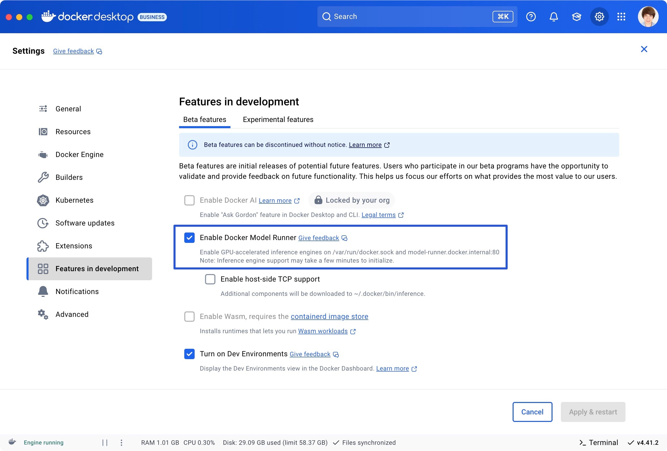 Docker Model Runner と Dev Environments が有効になっている [開発] タブの Docker Desktop の [機能] のスクリーンショット。