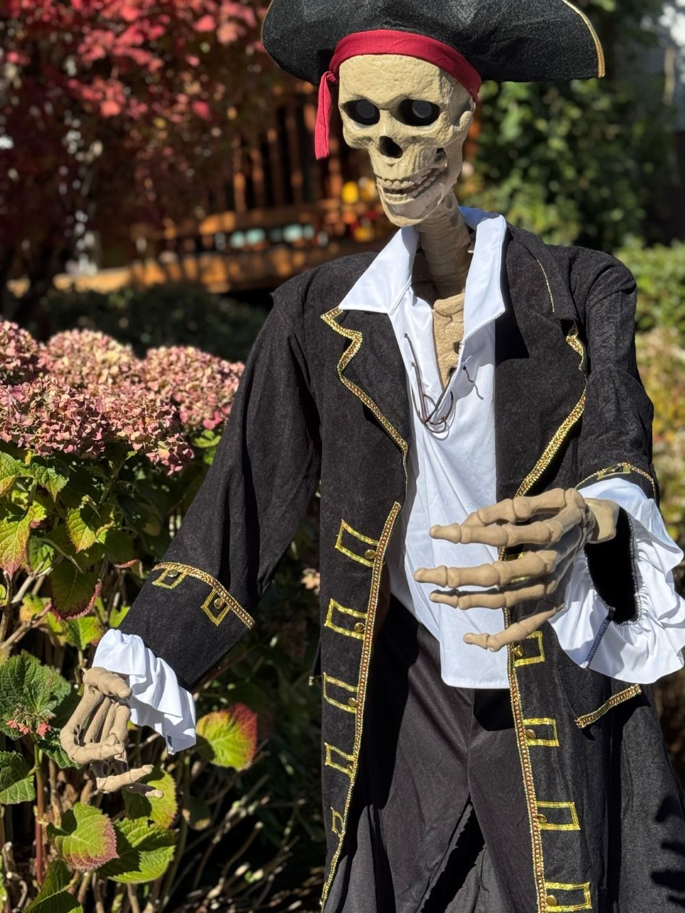 - ミスター・ボーンズ 4 ミスター・ボーンズ 4