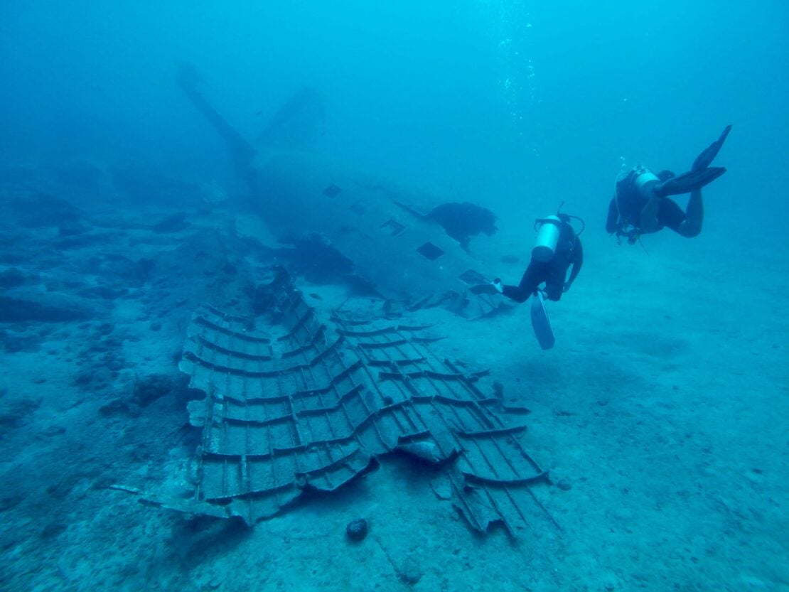 イゴール・アレクサンドロフ2