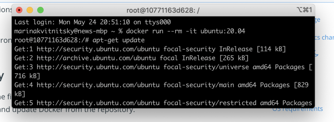 Docker linux scan 2 1