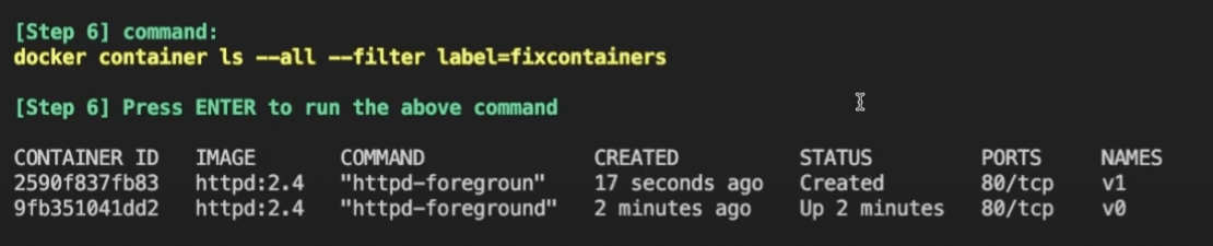 Docker Container ls