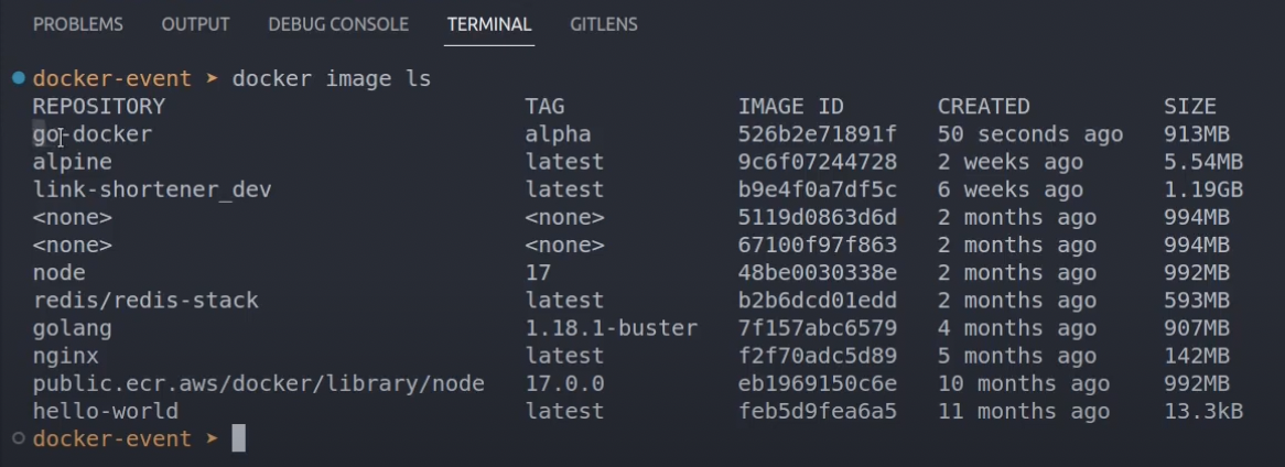 A terminal running the docker image ls command and showing that the image was built successfully.