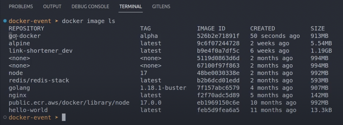 A terminal running the docker image ls command and showing that the image was built successfully. 