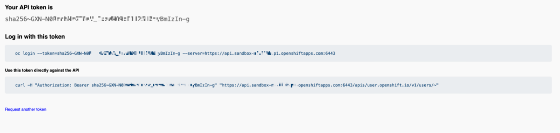 Screenshot of the issued api token