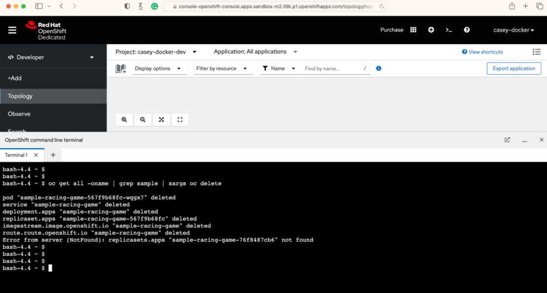 Screenshot of web terminal commands showing deleted files