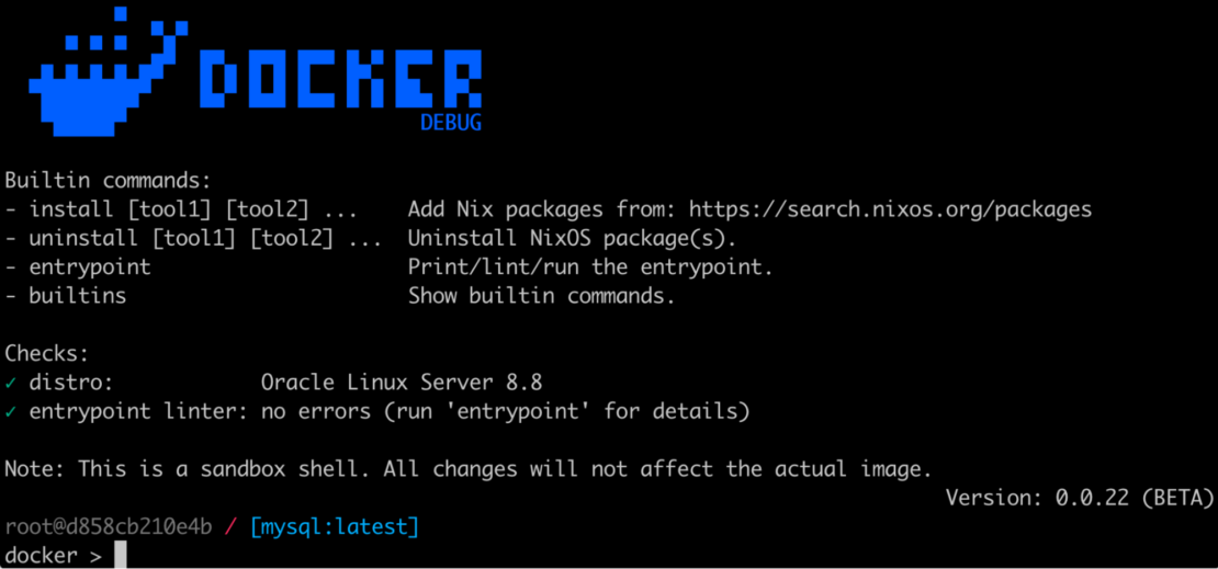 Screenshot of beta version of Docker Debug page.
